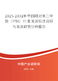 2025-2031年中國精對苯二甲酸（PTA）行業發展現狀調研與發展趨勢分析報告