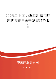 2025年中國力車胎制造市場現狀調查與未來發展趨勢報告