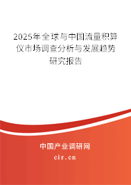 2025年全球與中國流量積算儀市場調查分析與發展趨勢研究報告
