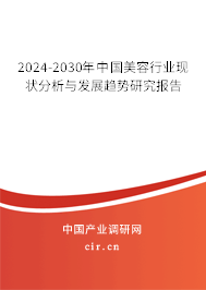 2024-2030年中國美容行業現狀分析與發展趨勢研究報告