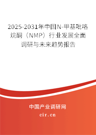 2025-2031年中國N-甲基吡咯烷酮（NMP）行業發展全面調研與未來趨勢報告