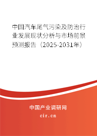 中國汽車尾氣污染及防治行業發展現狀分析與市場前景預測報告（2025-2031年）