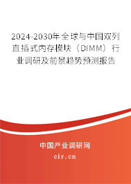 2024-2030年全球與中國雙列直插式內存模塊（DIMM）行業調研及前景趨勢預測報告