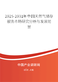 2025-2031年中國天然氣儲存服務市場研究分析與發展前景