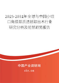 2025-2031年全球與中國(guó)小切口角膜基質(zhì)透鏡取出術(shù)行業(yè)研究分析及前景趨勢(shì)報(bào)告