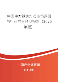 中國中方鐵殼燈芯市場調研與行業前景預測報告（2025年版）