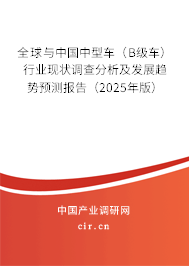 全球與中國中型車（B級車）行業現狀調查分析及發展趨勢預測報告（2025年版）