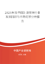 2025年版中國(guó)3-溴喹啉行業(yè)發(fā)展回顧與市場(chǎng)前景分析報(bào)告