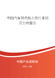 中國汽車轉向助力泵行業研究分析報告