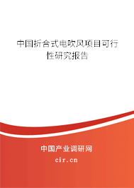 中國折合式電吹風項目可行性研究報告