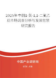 2025年中國1-氯-1,1-二氟乙烷市場調查分析與發展前景研究報告