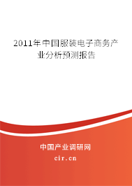 2011年中國服裝電子商務產業分析預測報告
