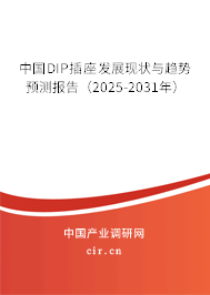 中國DIP插座發(fā)展現(xiàn)狀與趨勢預(yù)測報告（2025-2031年）