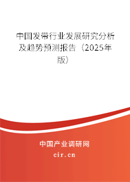 中國發(fā)帶行業(yè)發(fā)展研究分析及趨勢預測報告（2025年版）