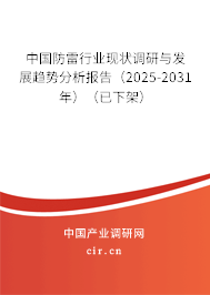 中國防雷行業現狀調研與發展趨勢分析報告（2025-2031年）（已下架）