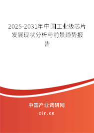2025-2031年中國工業(yè)級芯片發(fā)展現(xiàn)狀分析與前景趨勢報(bào)告