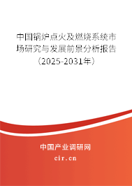 中國鍋爐點火及燃燒系統市場研究與發展前景分析報告（2025-2031年）