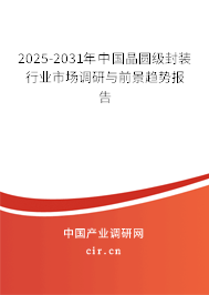 2025-2031年中國晶圓級封裝行業市場調研與前景趨勢報告