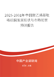 2025-2031年中國聚乙烯基吡咯烷酮發展現狀與市場前景預測報告