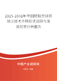 2025-2031年中國垃圾焚燒和除塵技術(shù)市場現(xiàn)狀調(diào)研與發(fā)展前景分析報告