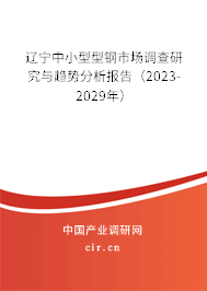 遼寧中小型型鋼市場調查研究與趨勢分析報告（2023-2029年）