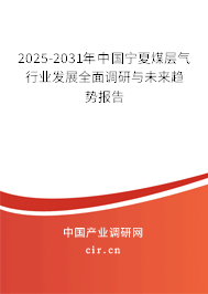 2025-2031年中國寧夏煤層氣行業發展全面調研與未來趨勢報告