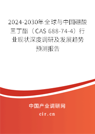 2024-2030年全球與中國硼酸三丁酯（CAS 688-74-4）行業現狀深度調研及發展趨勢預測報告