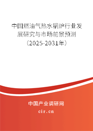 中國燃油氣熱水鍋爐行業發展研究與市場前景預測（2025-2031年）