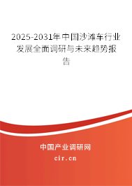 2025-2031年中國沙灘車行業發展全面調研與未來趨勢報告