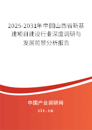 2025-2031年中國山西省新基建項目建設行業深度調研與發展前景分析報告