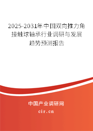 2025-2031年中國雙向推力角接觸球軸承行業調研與發展趨勢預測報告