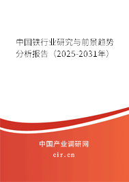 中國鐵行業研究與前景趨勢分析報告（2025-2031年）
