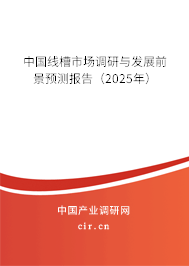 中國(guó)線槽市場(chǎng)調(diào)研與發(fā)展前景預(yù)測(cè)報(bào)告（2024年）