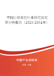 中國小型餐飲行業研究及前景分析報告（2025-2031年）