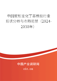中國星形支化丁基橡膠行業(yè)現(xiàn)狀分析與市場(chǎng)前景（2024-2030年）