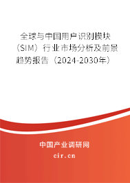 全球與中國用戶識別模塊（SIM）行業市場分析及前景趨勢報告（2024-2030年）