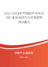 2025-2031年中國超聲波電動機行業發展研究與前景趨勢預測報告