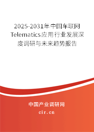 2025-2031年中國車聯網Telematics應用行業發展深度調研與未來趨勢報告