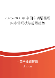 2025-2031年中國車輛增強現實市場現狀與前景趨勢