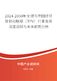 2024-2030年全球與中國經導管肺動脈瓣（TPV）行業發展深度調研與未來趨勢分析