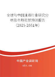 全球與中國沫煤行業(yè)研究分析及市場前景預(yù)測報(bào)告（2025-2031年）