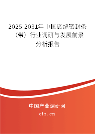 2025-2031年中國嵌縫密封條（帶）行業調研與發展前景分析報告