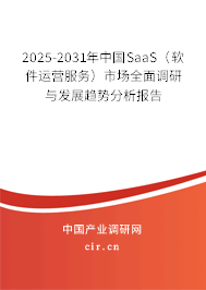 2025-2031年中國SaaS（軟件運營服務）市場全面調研與發展趨勢分析報告