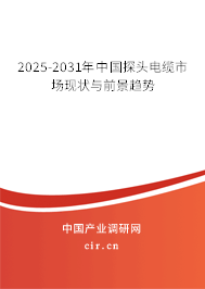 2025-2031年中國探頭電纜市場(chǎng)現(xiàn)狀與前景趨勢(shì)