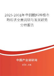 2025-2031年中國糖料種植市場現狀全面調研與發展趨勢分析報告