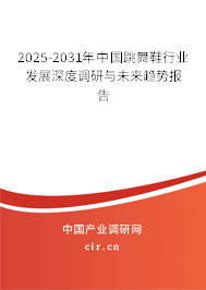 2025-2031年中國跳舞鞋行業發展深度調研與未來趨勢報告