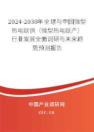 2024-2030年全球與中國微型熱電聯供（微型熱電聯產）行業發展全面調研與未來趨勢預測報告