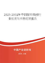 2025-2031年中國蝸輪蝶閥行業現狀與市場前景報告
