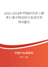 2024-2030年中國異丙腎上腺素行業(yè)市場調(diào)研與發(fā)展前景預(yù)測報告