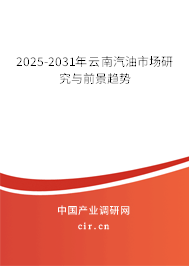 2025-2031年云南汽油市場研究與前景趨勢